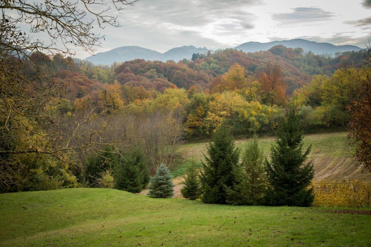 Green Hills Cottage In Zagorje With Magnificent View Ravnice-Desinicke Экстерьер фото